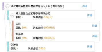 解析武漢靡思碧格商務(wù)信息咨詢(xún)合伙企業(yè) 有限合伙模式下的專(zhuān)業(yè)咨詢(xún)服務(wù)