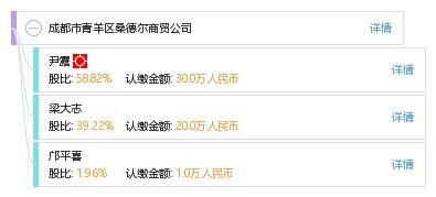 成都市青羊區(qū)桑德?tīng)柹藤Q(mào)公司綜合信息查詢(xún)與企業(yè)管理咨詢(xún)指南